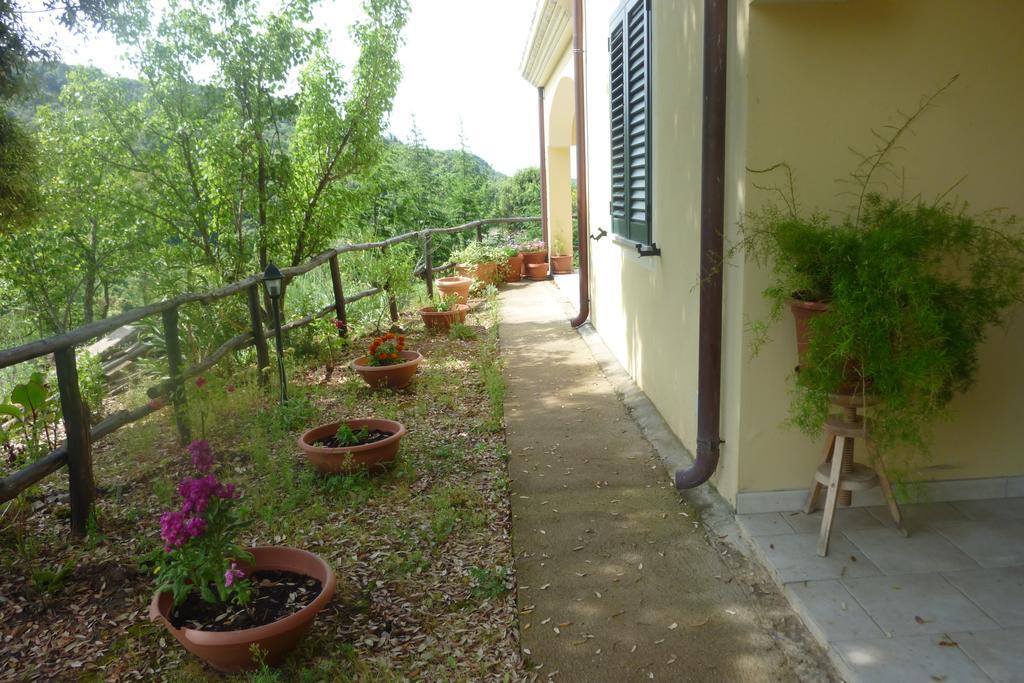 Agriturismo Ticci Villa Seùlo Esterno foto